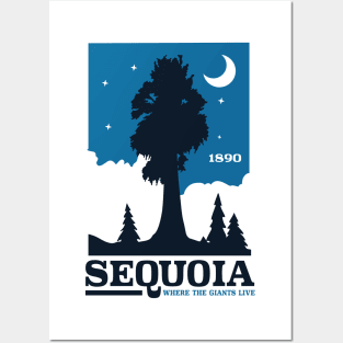 California Sequoia National Park Apparel Posters and Art